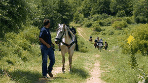 ippikos-omilos-sohou