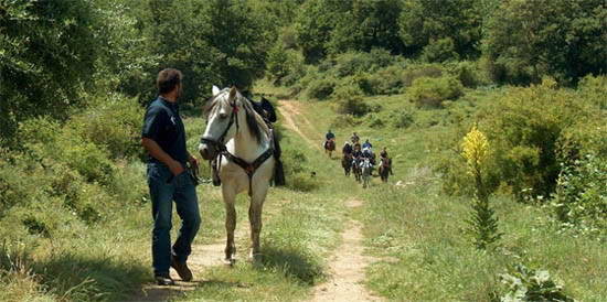 Ιππικός Όμιλος Σοχού