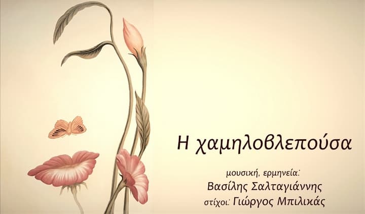 vasilis-saltagiannis-xamilovlepousa