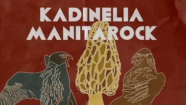 kadinelia-manitarock