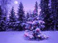 Πατήστε για να δείτε christmas_in_the_wilderness_t1.jpg