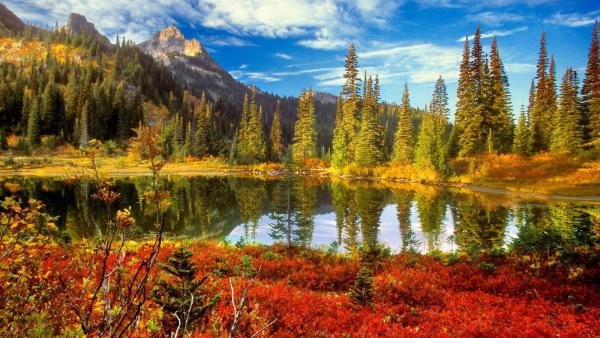 nature_autumn_wallpaper.jpg